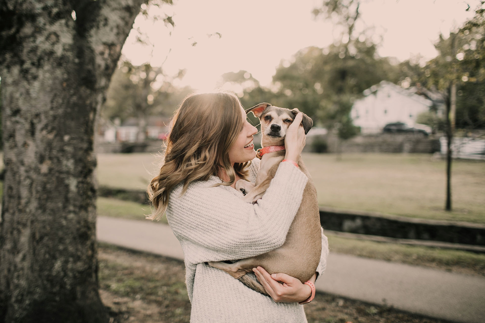Home time: a dog reunited with its owner after a full day of play, leaning into their hand.